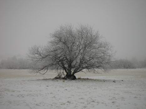 rhoen_06