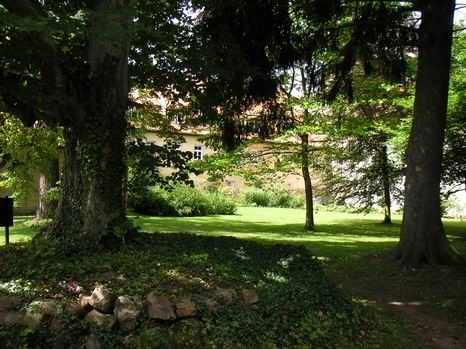 bursfelde_07