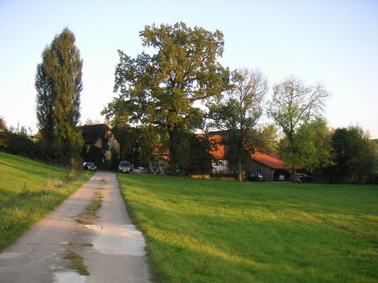 moenchs_36