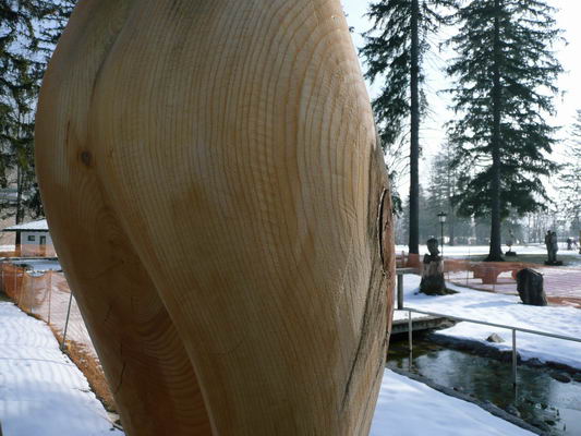 08_lermoos_72
